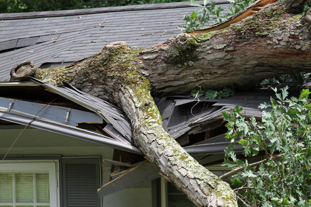 Storm Damage Roof Replacement service by AIM Roofing in Mesquite, Texas